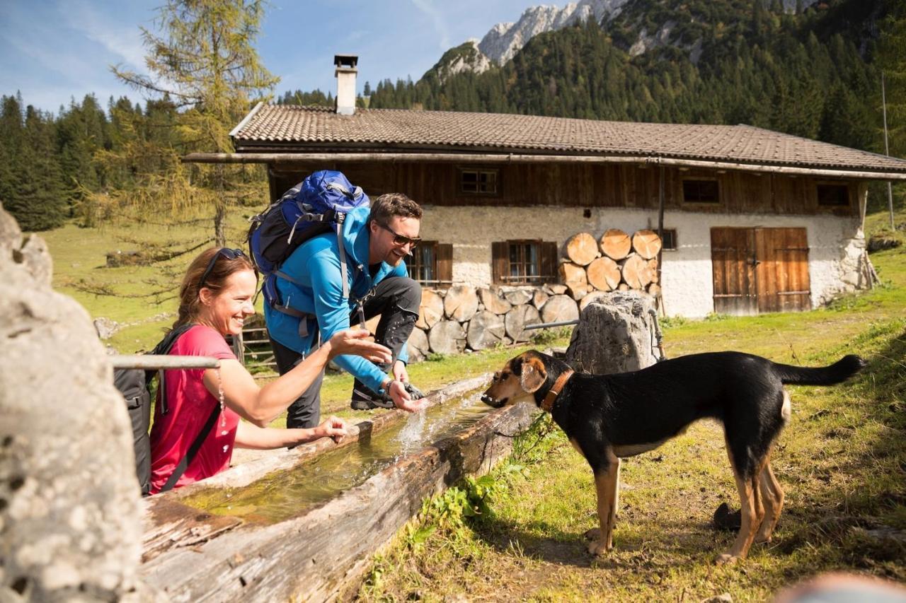 Alpenlodge, Ferienwohnung 16 เทียร์ซี ภายนอก รูปภาพ